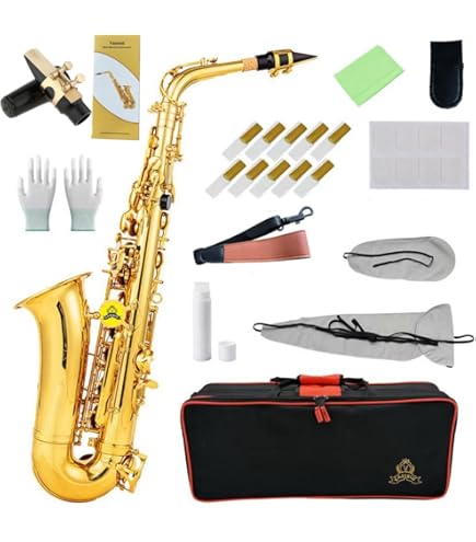 Amazon.com: Eldon by Antigua AS-22 Eb Alto Saxophone Lacquer